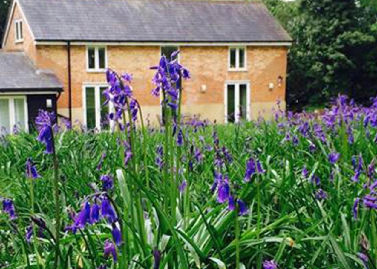 Grooms Cottage Alkham Екстер'єр фото